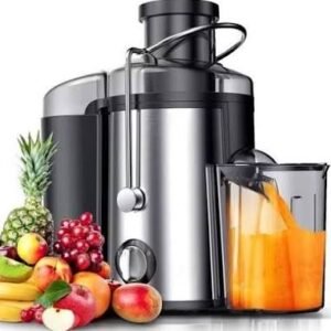 Portable Electric Juicer – Powerful 800W Juice Extractor